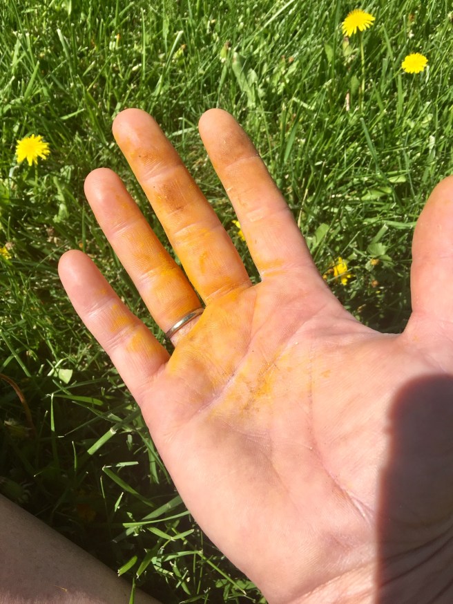 5A0E727B-09C1-4713-97A1-0F6C69B08C6D