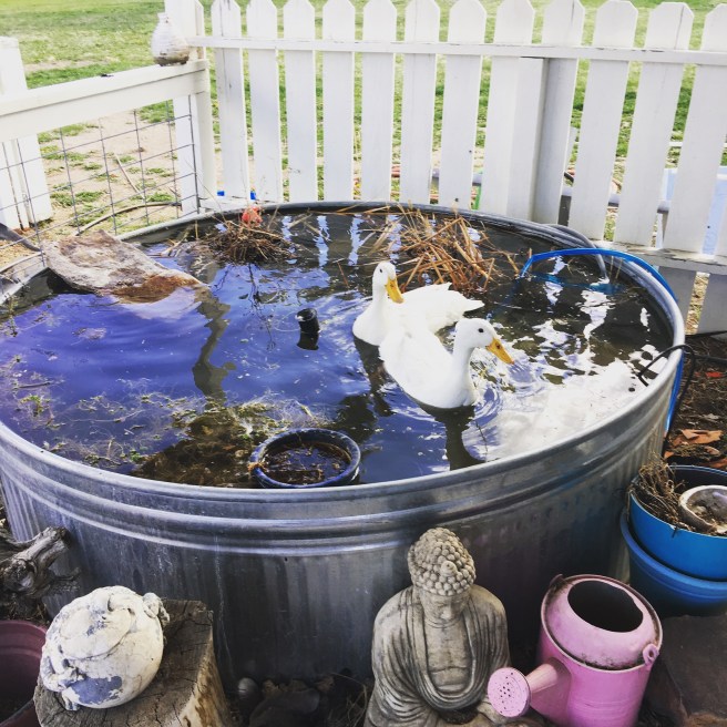 851A7842-DE3E-43AD-BD7B-D44BC4F1492C