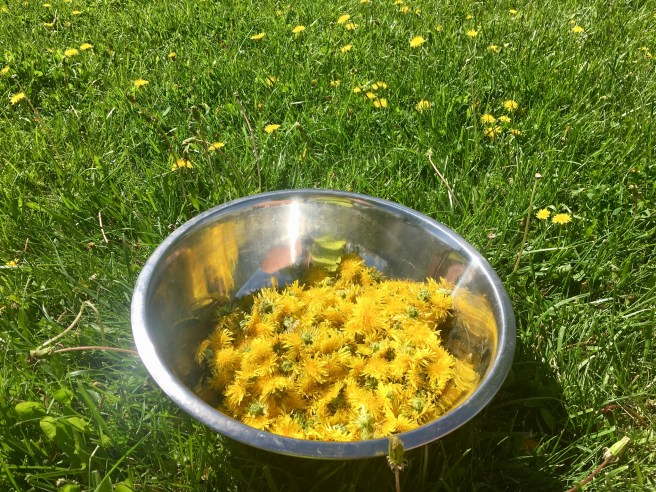 91A8BECF-76D5-4544-84CC-B1E6A1F797BD