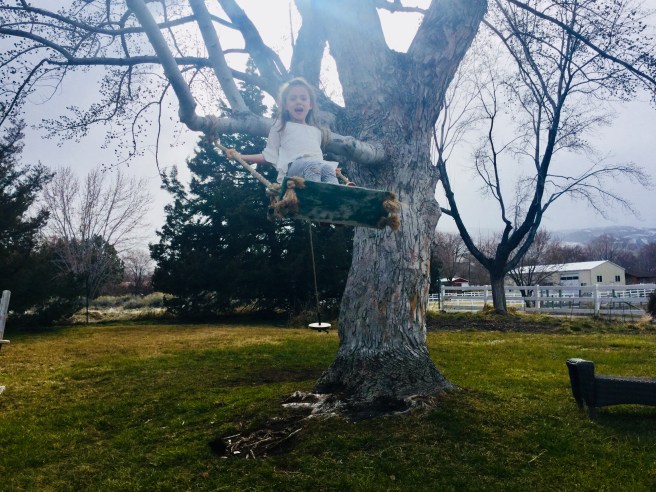 D3CF6188-AB33-4053-BAE5-611D0D4F3722